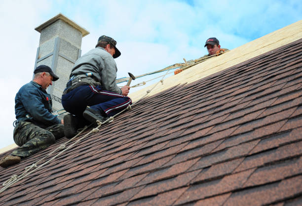 Best Roof Gutter Cleaning  in Morgan, UT